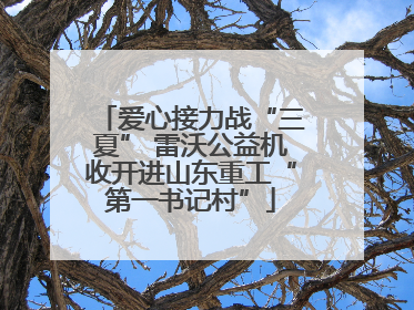 爱心接力战“三夏” 雷沃公益机收开进山东重工“第一书记村”