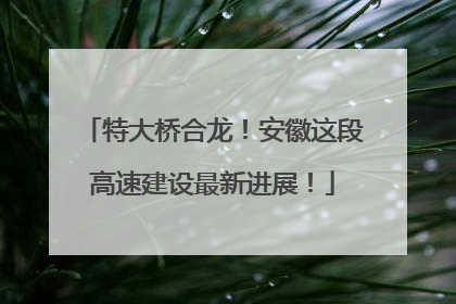 特大桥合龙！安徽这段高速建设最新进展！
