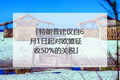 特朗普建议自6月1日起对欧盟征收50%的关税