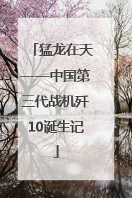 猛龙在天——中国第三代战机歼10诞生记