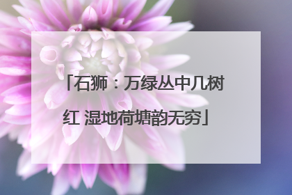 石狮：万绿丛中几树红 湿地荷塘韵无穷