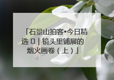 石景山拍客•今日精选 ㉓｜镜头里铺展的烟火画卷（上）