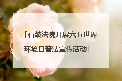 石鼓法院开展六五世界环境日普法宣传活动