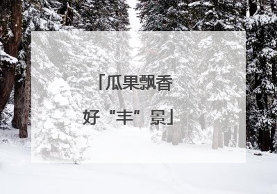 瓜果飘香 好“丰”景