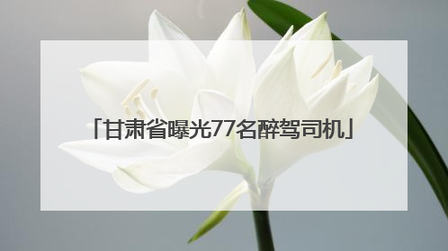 甘肃省曝光77名醉驾司机