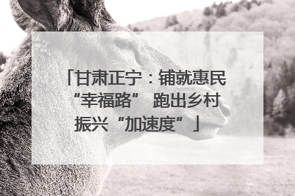 甘肃正宁：铺就惠民“幸福路” 跑出乡村振兴“加速度”