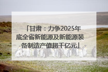 甘肃：力争2025年底全省新能源及新能源装备制造产值超千亿元