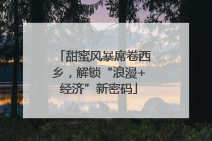 甜蜜风暴席卷西乡，解锁“浪漫+经济”新密码