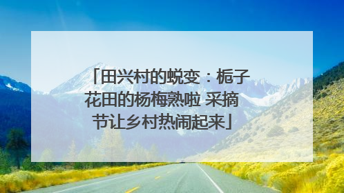 田兴村的蜕变：栀子花田的杨梅熟啦 采摘节让乡村热闹起来