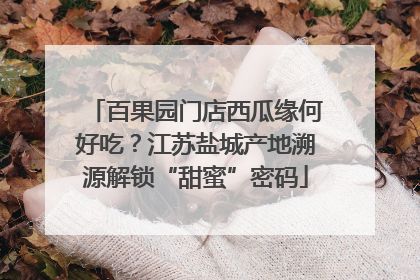 百果园门店西瓜缘何好吃？江苏盐城产地溯源解锁“甜蜜”密码