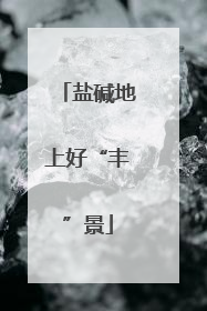盐碱地上好“丰”景