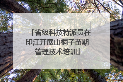 省级科技特派员在印江开展山桐子苗期管理技术培训