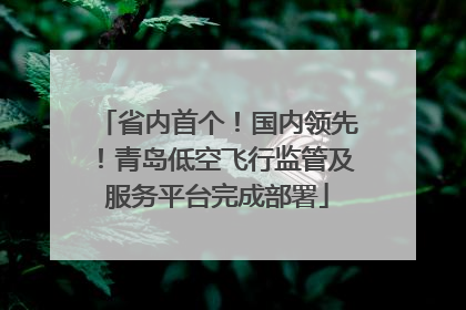 省内首个！国内领先！青岛低空飞行监管及服务平台完成部署