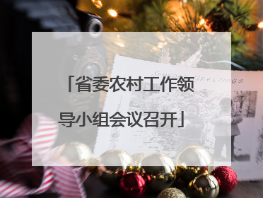 省委农村工作领导小组会议召开