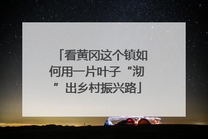 看黄冈这个镇如何用一片叶子“沏”出乡村振兴路