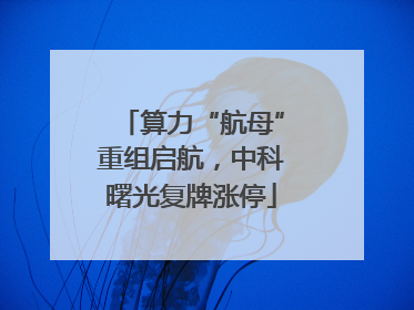 算力“航母”重组启航，中科曙光复牌涨停
