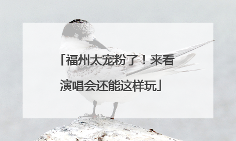 福州太宠粉了！来看演唱会还能这样玩