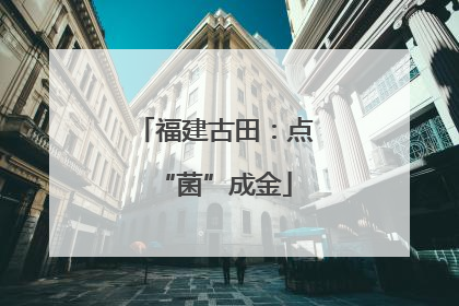 福建古田：点“菌”成金