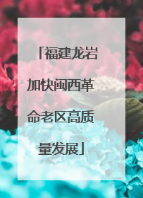 福建龙岩加快闽西革命老区高质量发展