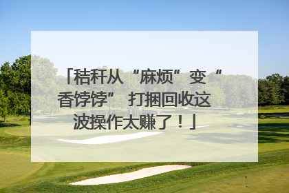 秸秆从“麻烦”变“香饽饽” 打捆回收这波操作太赚了！