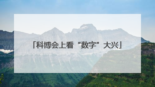 科博会上看“数字”大兴