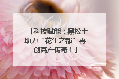 科技赋能：黑松土助力“花生之都”再创高产传奇！