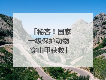 稀客！国家一级保护动物穿山甲获救
