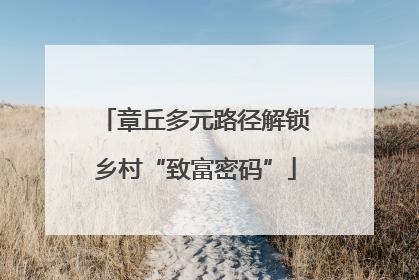 章丘多元路径解锁乡村“致富密码”
