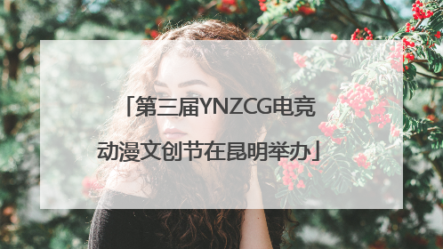 第三届YNZCG电竞动漫文创节在昆明举办