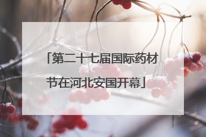 第二十七届国际药材节在河北安国开幕