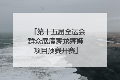 第十五届全运会群众展演舞龙舞狮项目预赛开赛