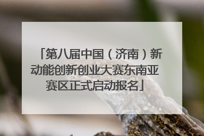 第八届中国（济南）新动能创新创业大赛东南亚赛区正式启动报名