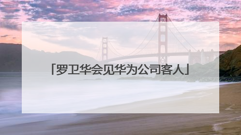 罗卫华会见华为公司客人