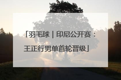 羽毛球｜印尼公开赛：王正行男单首轮晋级