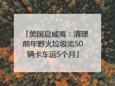 美国夏威夷：清理前年野火垃圾需50辆卡车运5个月