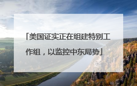 美国证实正在组建特别工作组，以监控中东局势
