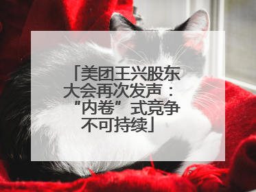 美团王兴股东大会再次发声：“内卷”式竞争不可持续