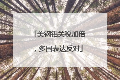 美钢铝关税加倍，多国表达反对