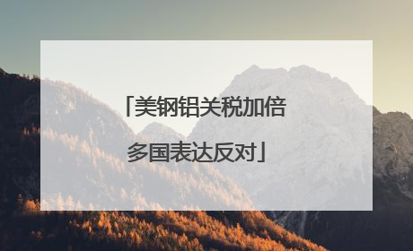 美钢铝关税加倍 多国表达反对