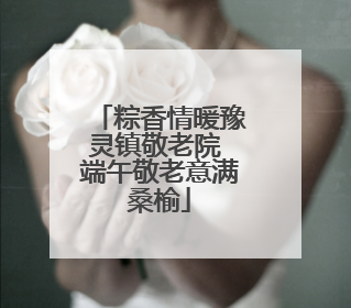 粽香情暖豫灵镇敬老院 端午敬老意满桑榆