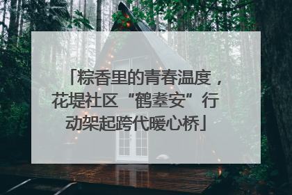 粽香里的青春温度，花堤社区“鹤耋安”行动架起跨代暖心桥