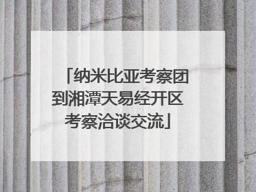 纳米比亚考察团到湘潭天易经开区考察洽谈交流