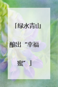 绿水青山酿出“幸福蜜”