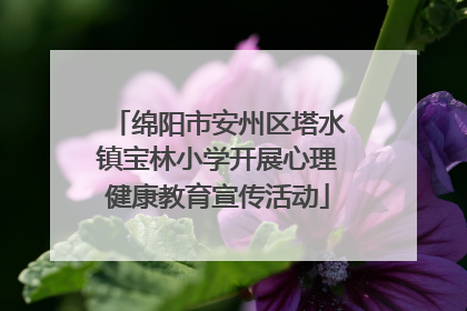 绵阳市安州区塔水镇宝林小学开展心理健康教育宣传活动