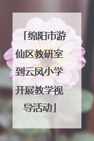绵阳市游仙区教研室到云凤小学开展教学视导活动