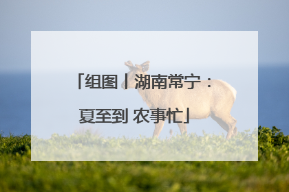 组图丨湖南常宁：夏至到 农事忙