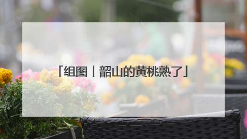 组图丨韶山的黄桃熟了