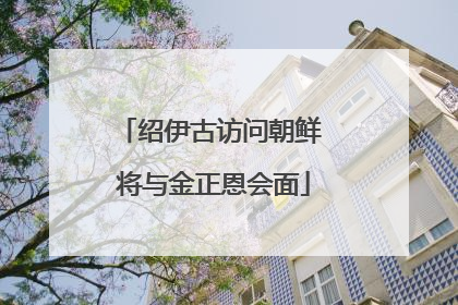 绍伊古访问朝鲜 将与金正恩会面
