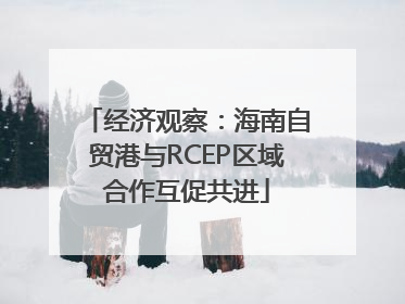 经济观察：海南自贸港与RCEP区域合作互促共进