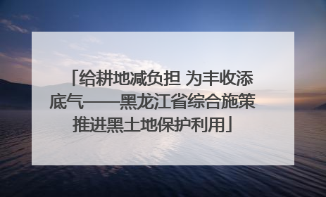 给耕地减负担 为丰收添底气——黑龙江省综合施策推进黑土地保护利用